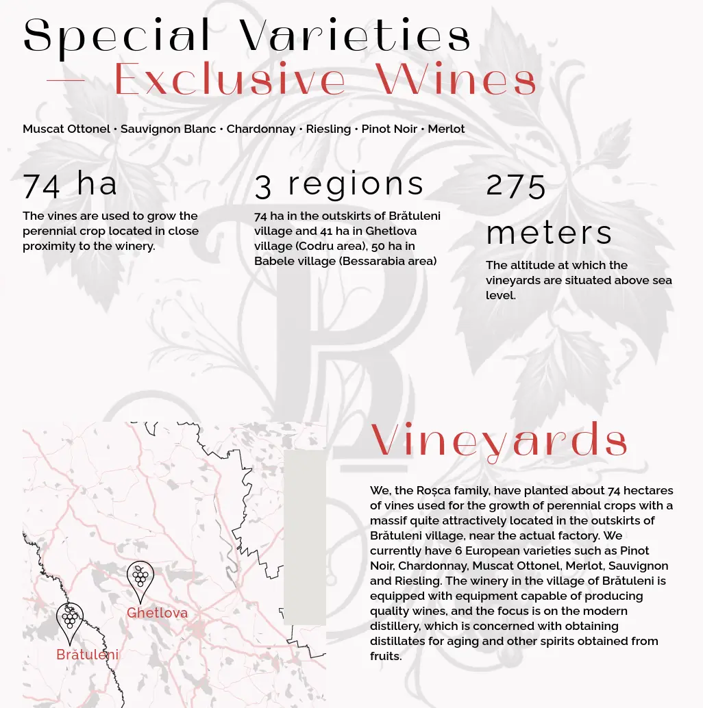 Rosca Winery website — cream and burgundy palette with bottle details and tasting notes